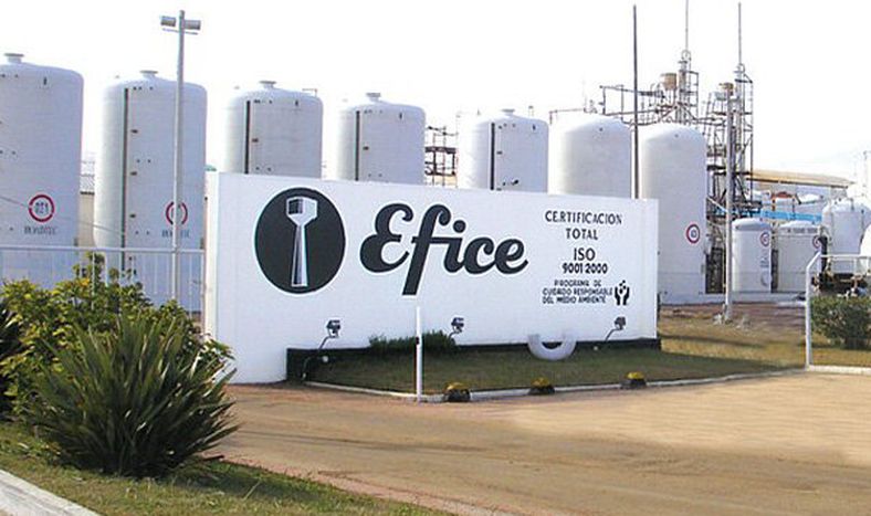 Planta de Efice.