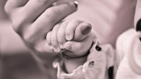 Búsqueda | 55771.jpg