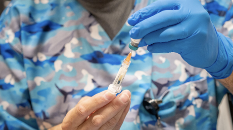 Estados Unidos, Canadá y México en apuros: ¿qué hay detrás del brote de sarampión en las sedes del Mundial?