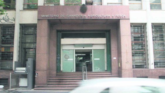 La decisión del MGAP se ajusta al “compromiso” de “fomentar la producción agrícola responsable y el uso racional de productos para el control de plagas agrícolas”, comunicó la cartera. La decisión del MGAP se ajusta al “compromiso” de “fomentar la producción agrícola responsable y el uso racional de productos para el control de plagas agrícolas”, comunicó la cartera.