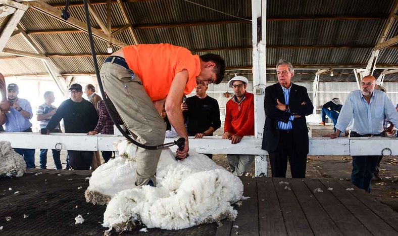 El ministro de Ganadería, Fernando Mattos, en el lanzamiento de la Zafra Ovina 2024, la semana pasada en Paysandú