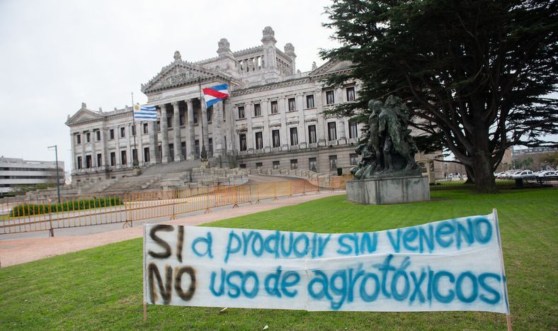Movilización de los apicultores frente al Palacio Legislativo, julio 2019.