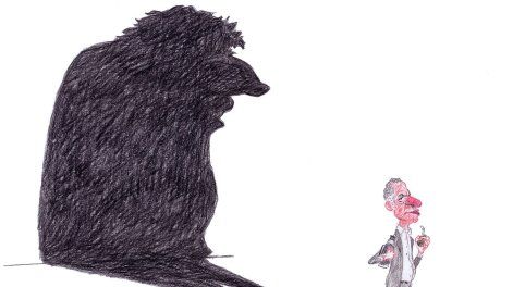 Búsqueda | Junior-Mujica sombra de Orsi