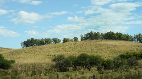 Campo por la ruta 8 en el departamento de Cerro Largo. Foto: Pablo Vignali / adhocFOTOS