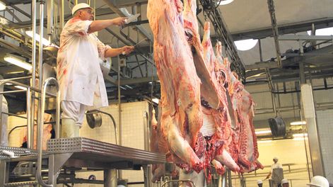 imagen de No todos los frigoríficos “pierden dinero” en forma “exagerada”, dijo el presidente de la Cámara de la Industria Frigorífica