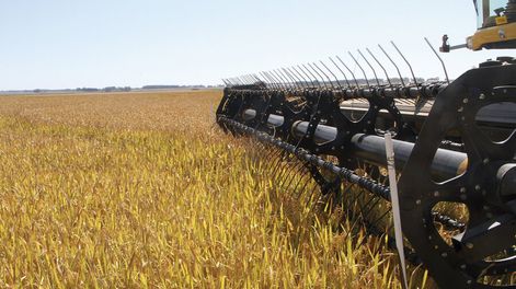 imagen de El clima pegó en los seguros y crece la demanda de productores