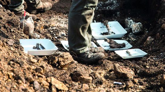 Restos óseos en el batallón 14. Foto: Sofía Torres Restos óseos en el batallón 14. Foto: Sofía Torres