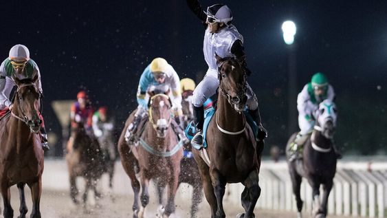 imagen de El Ramírez es la “gran vidriera” para mostrar los logros de la hípica uruguaya, que busca ahora adaptarse al nuevo consumo imagen de El Ramírez es la “gran vidriera” para mostrar los logros de la hípica uruguaya, que busca ahora adaptarse al nuevo consumo