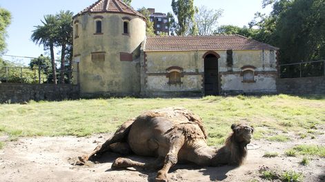 imagen de A cuatro años del cierre, no hay reformas en Villa Dolores