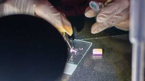 Testeo de sustancias realizado por Imaginario Nueve.