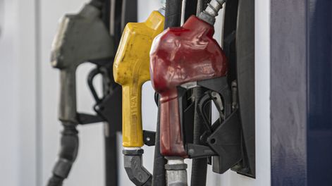 Búsqueda | El objetivo es obtener energía y otros productos derivados valiosos para la industria farmacéutica, que permitan disminuir precio del biodiésel. NG / Búsqueda