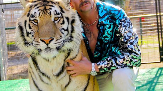 imagen de Animalada imagen de Animalada