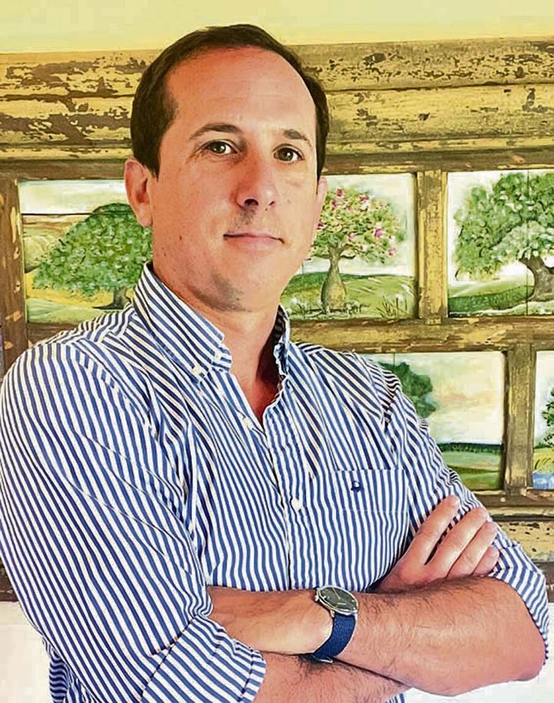 El consultor Pablo Fleitas