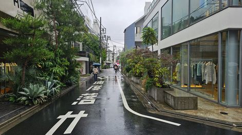 Búsqueda | 821472.jpg