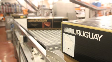 Foto: Nicolás Der Agopián / Búsqueda