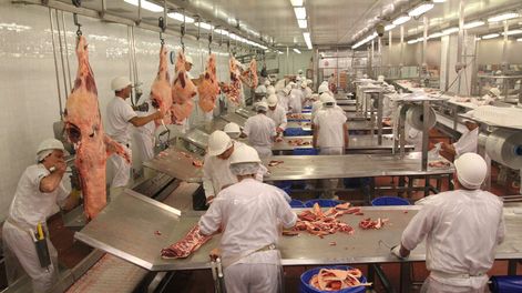 La salud de los operarios de los frigoríficos está en riesgo por el coronavirus, lo que generó nuevas medidas de prevención. Foto: Nicolás Der Agopián