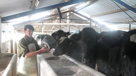 imagen de Hay 9.628 productores rurales que deben unos US$ 7 millones al Ministerio de Ganadería, que cobró solo 15% de lo que dio en apoyos