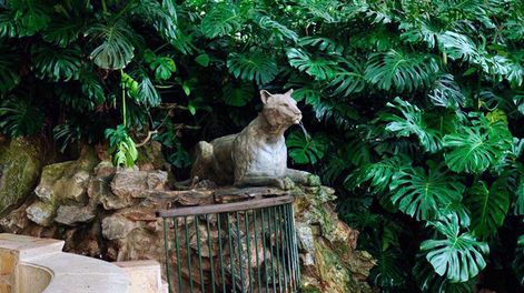 imagen de Justicia suspendió exploraciones mineras en Lavalleja que podrían afectar la calidad del agua mineral de Salus