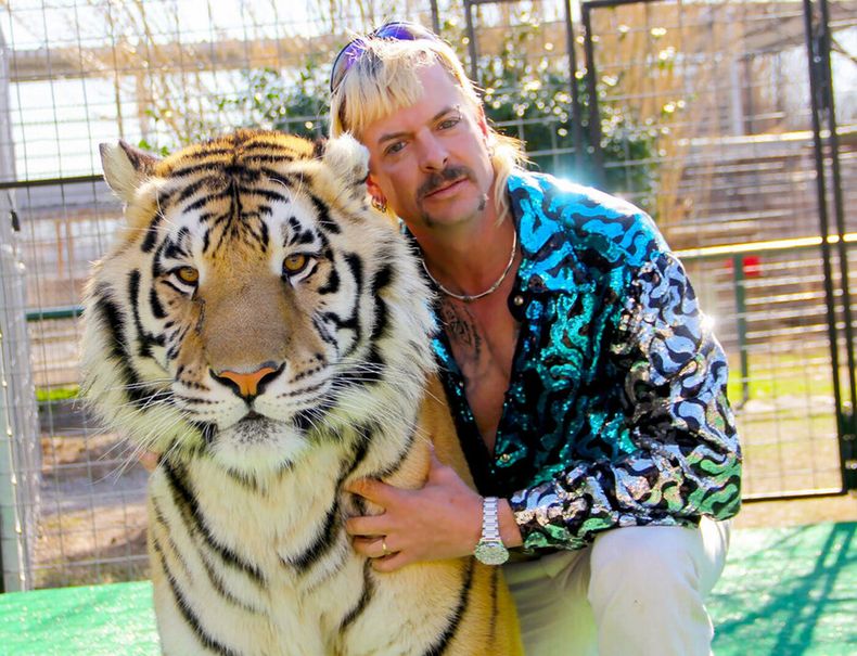 imagen de Animalada