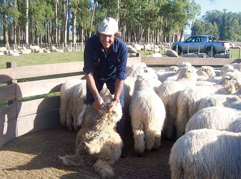 imagen de Uruguay muestra al mundo “cultura ovina” y busca concientizar sobre prácticas de Bienestar Animal