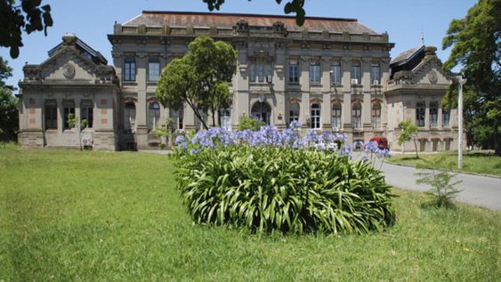 imagen de Facultad de Veterinaria discute crear un Comité de Ética tras “irregularidades” en el Instituto de Investigación Agropecuaria imagen de Facultad de Veterinaria discute crear un Comité de Ética tras “irregularidades” en el Instituto de Investigación Agropecuaria