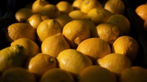 Foto: Pablo Vignali / adhocFOTOS