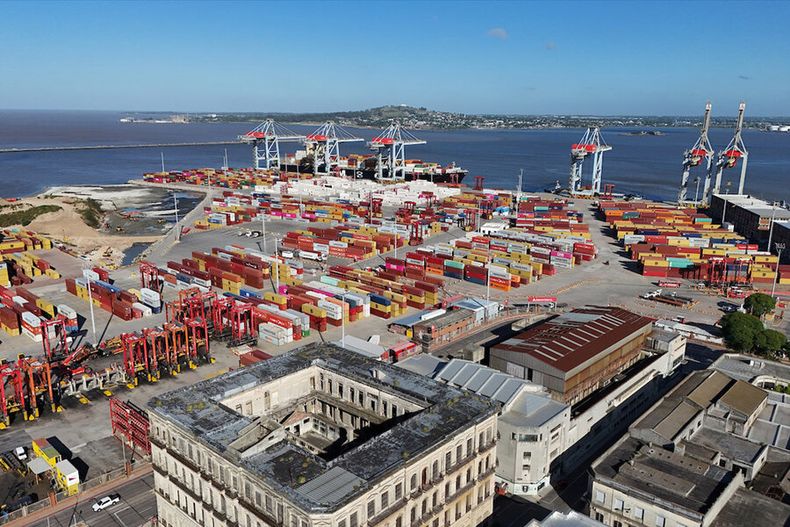 TCP aumentó otro poco su participación de mercado en el puerto de Montevideo. Foto: Nicolás Celaya / adhocFOTOS