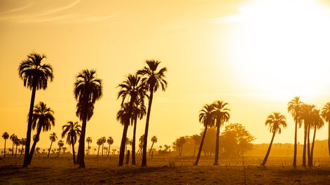 Empresarios líderes de las fintechs invirtieron en campos en Uruguay