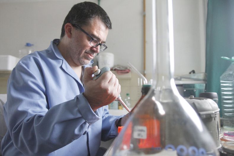 imagen de Investigación detectó resistencia a los antibióticos en personas  enfermas, en terneros en Uruguay y en pollos que vienen de Brasil