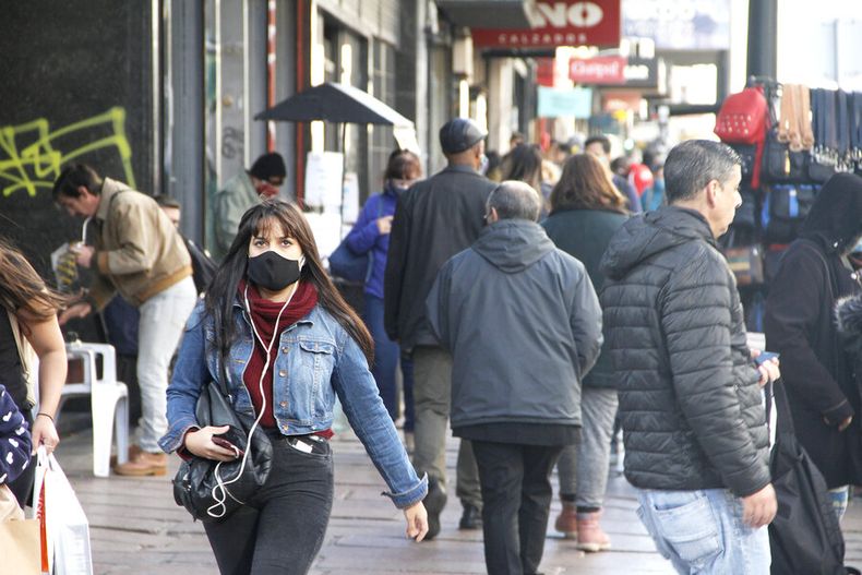 imagen de Un domingo con economistas del Frente en clima de comité virtual