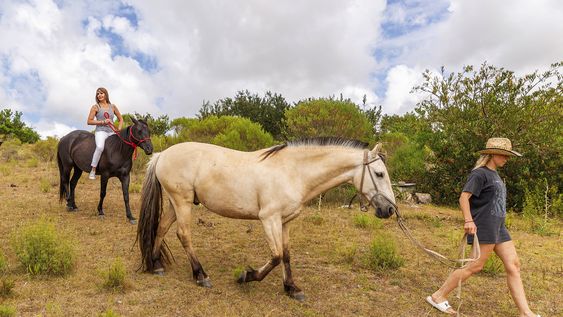 en punta del este, la amazona alfonsina maldonado invita a una experiencia distinta: nadar con caballos en punta del este, la amazona alfonsina maldonado invita a una experiencia distinta: nadar con caballos