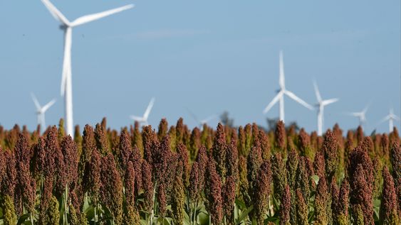 En 2024 la generación eléctrica fue 99% con fuentes renovables. En 2024 la generación eléctrica fue 99% con fuentes renovables.