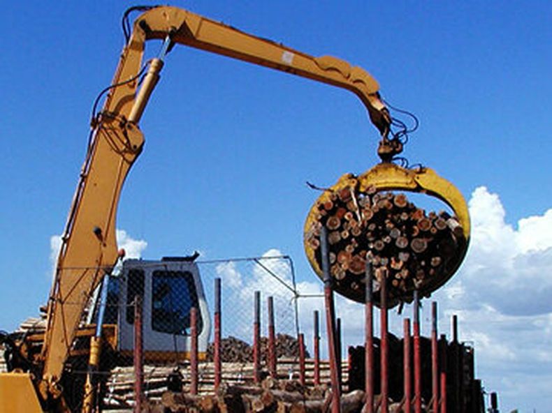 Los precios del rubro forestación y extracción de madera fueron los que más bajaron en mayo