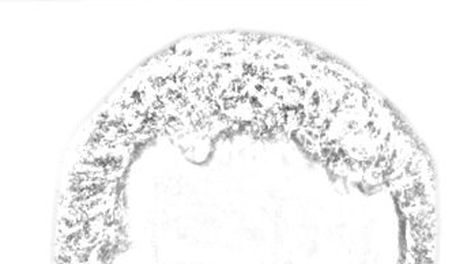 imagen de Blancos y colorados impulsan alianzas electorales para ganar Montevideo, pero académicos ven más dificultades que beneficios