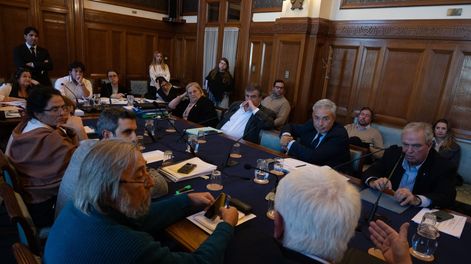 Comisión especial del Senado para la reforma de la Ley Orgánica de la “caja de profesionales”
