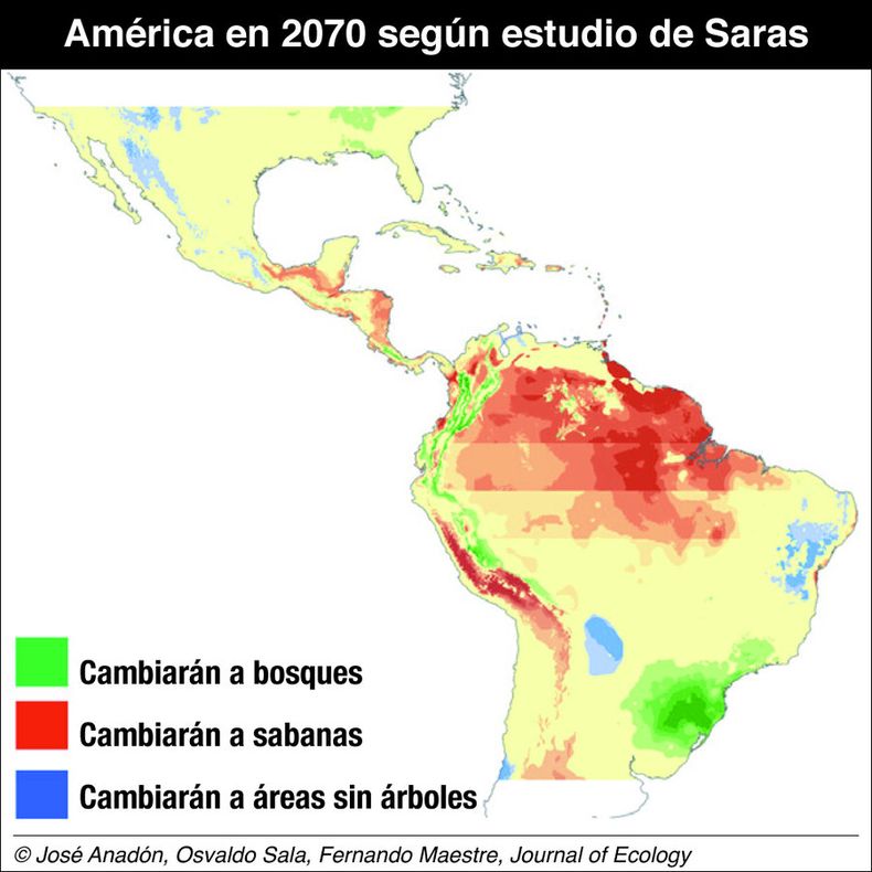 imagen de El cambio climático aumentará las sabanas a expensas de bosques en  Sudamérica; el sur brasileño y el norte uruguayo tendrán más arbustos