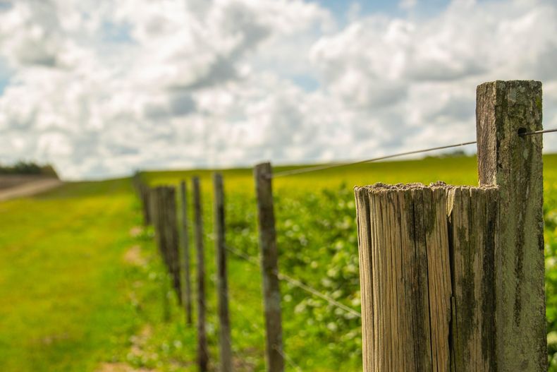 El 2025 comenzó con importantesinversiones de extranjeros en tierras