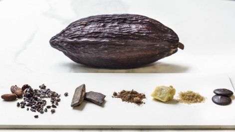 Búsqueda | Grano de cacao y chocolate, produccion realizada con Lucas Fuente