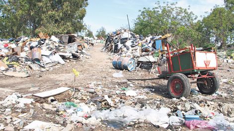 imagen de Intendencia de Montevideo censará a clasificadores de  basura para buscar insertarlos en el mercado laboral formal