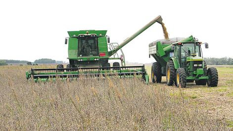 Foto: Nicolás Der Agopián / Búsqueda