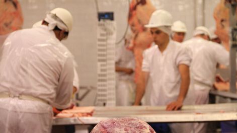 imagen de Informe privado acusa al gobierno de favorecer “maniobras colusivas” por parte de frigoríficos