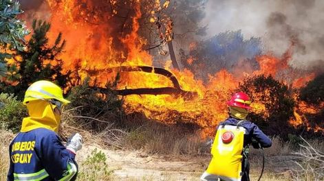 “Estamos investigando todo”, dijo el ministro Luis Alberto Heber. Foto: Bomberos en Uruguay