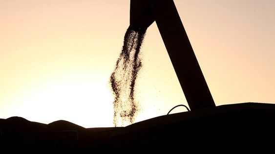 imagen de El “crujido” de los commodities imagen de El “crujido” de los commodities