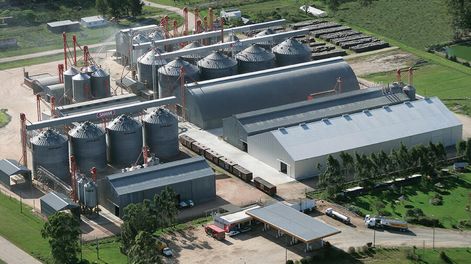 La industria arrocera advierte que la pérdida de competitividad. Foto: Gremial de Molinos Arroceros