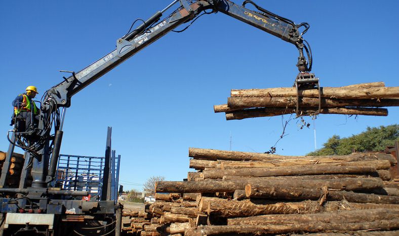 imagen de En el norte se mueve un flujo  mayor de empleados