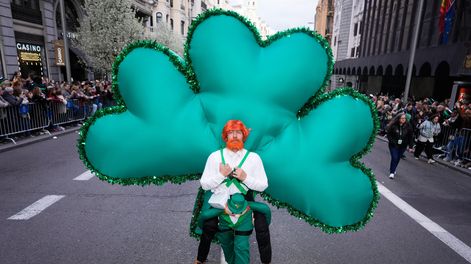 Búsqueda | San Patricio