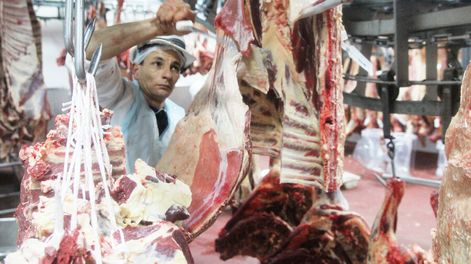 imagen de En tres años aumentaron 133% las importaciones de carnes y llegaron a casi US$ 100 millones en el primer semestre de 2019