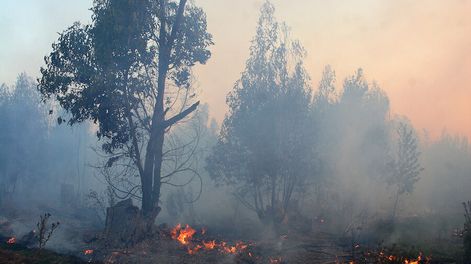 Foto: Ricardo Antúnez / adhocFOTOS