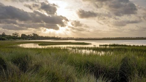 Ribera y humedales del arroyo Maldonado.