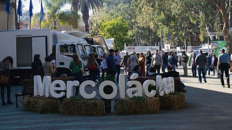 Mercoláctea recibirá al Congreso Holstein de las Américas y al Foro Latinoamericano de la raza Jersey